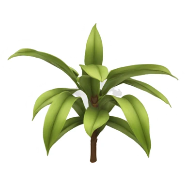 Furcraea foetida sticker