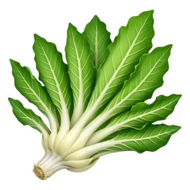 green blegian endive radicchio sticker