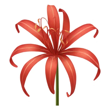 red spider lily sticker
