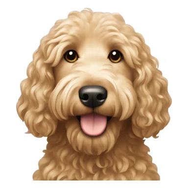 Goldendoodle with long wavy hair  sticker