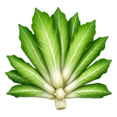 Endive Riccia sticker