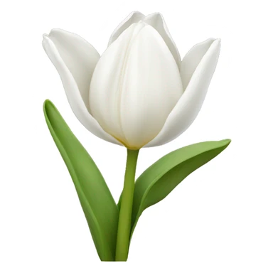 White tulip sticker