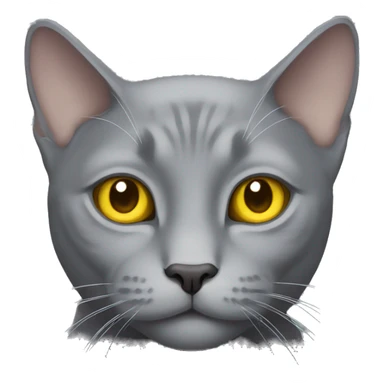 solid gray cat with yellow eyes, no stripes sticker