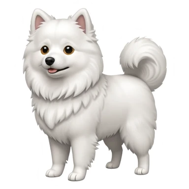 American Eskimo dog sticker