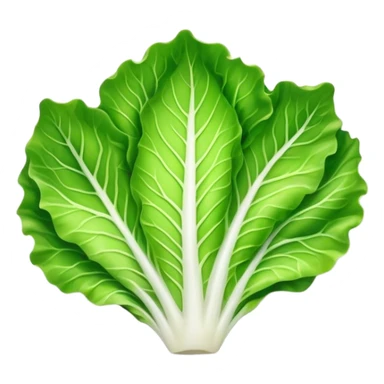 single lettuce leaf on a plate sticker