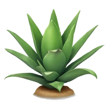 Agave sticker