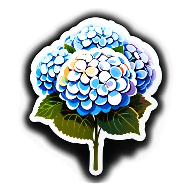 Large bundle of white hydrangeas  sticker