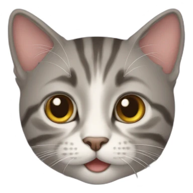 Cat bangal sticker