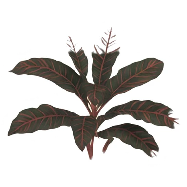 Croton sticker