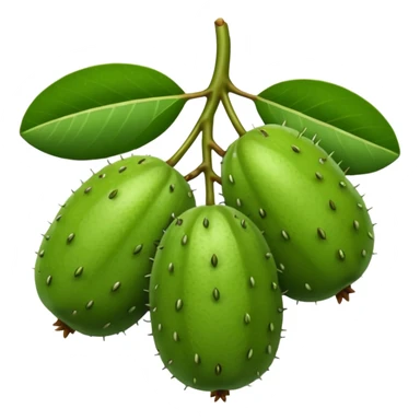 feijoa fruit cluster sticker
