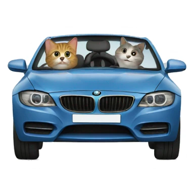 Cat driving  in a BMW-branded vehicle sticker