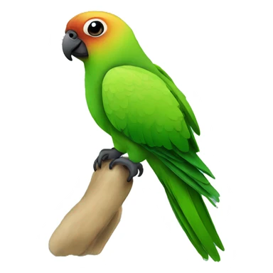  green conure with black head sticker