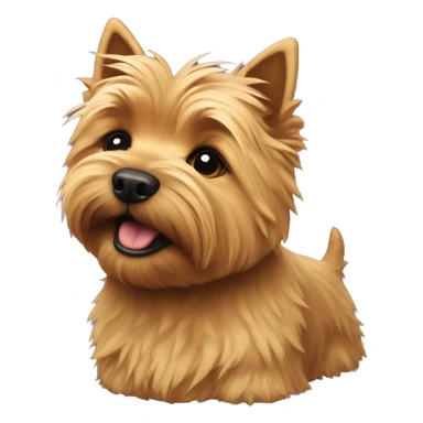 Norwich terrier  sticker