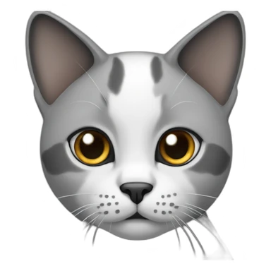 cat with white nose and grey and black ears sticker