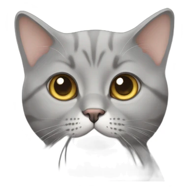 British short hair cat, grey sticker