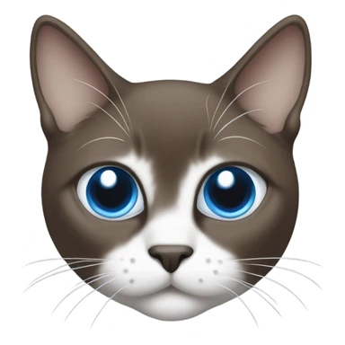snowshoe cat with white nose and blue eyes sticker