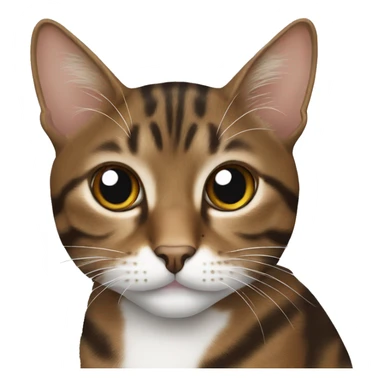 Brown tabby cat with white patches  sticker