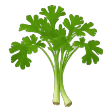 coriander sticker