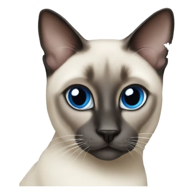 Blue eyes siamese cat christmas sticker