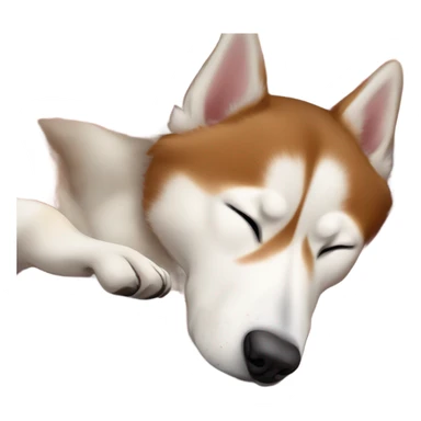Red and white Siberian husky sleeping on dog bed sticker