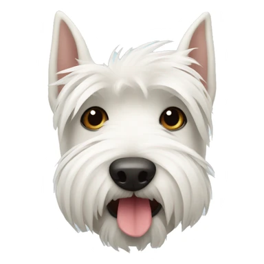 White Scottish terrier face with tissue in its mouth sticker