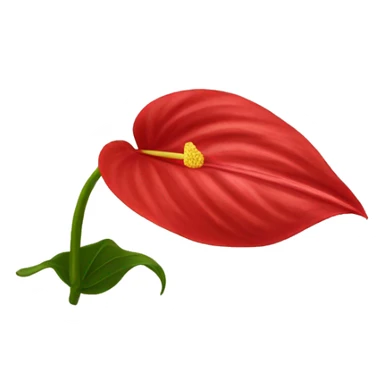 red anthurium flower only no stem sticker