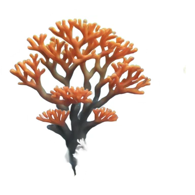 coral reef sticker