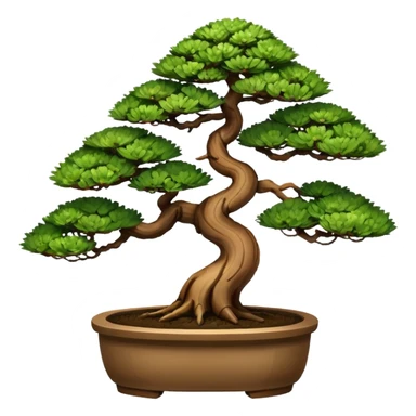 Bonsai plant of dawn redwoods trees 3 of them. In a bonsai pot  sticker