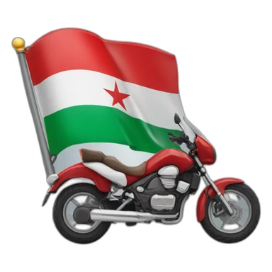 quelqu'un sur une moto avec le drapeau du Maroc derrière sticker