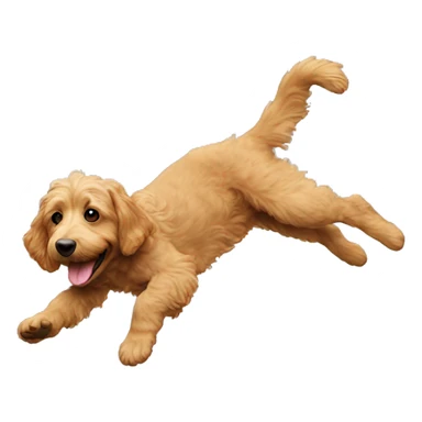 aussie doodle doing a backflip  sticker