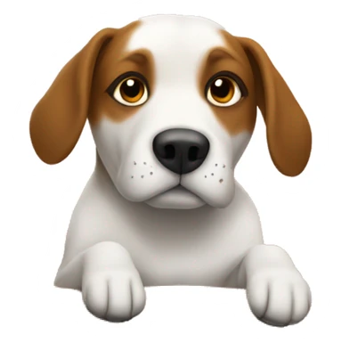 Dog lounging indoors at home sticker