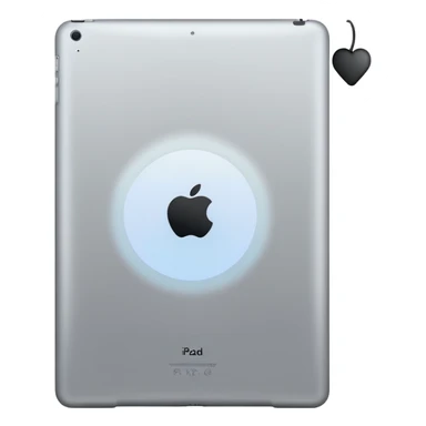 iPad 9 back no cellular  no flash light sticker