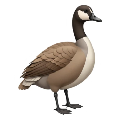 Canada goose sticker