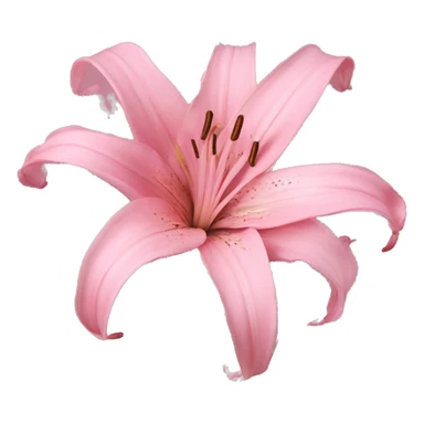 pink lillies  sticker