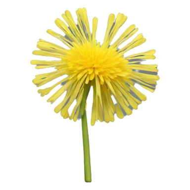 a 3d yellow dandelion like the memoji sticker