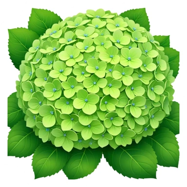 Green hydrangeas sticker