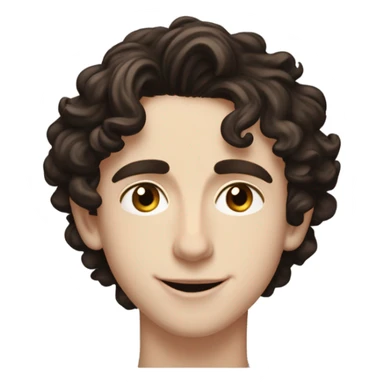 timothèe chalamet sticker