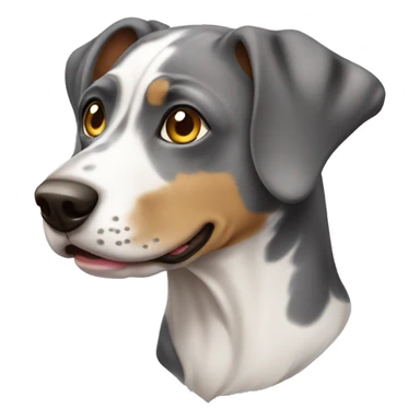 Catahoula dog sticker