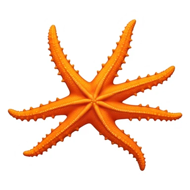 Orange sea star with five arms sticker