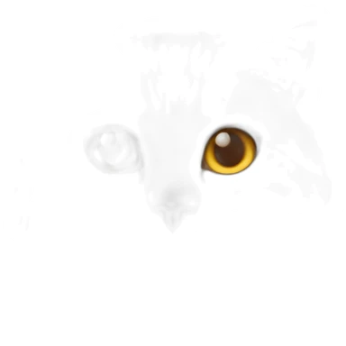 Cat himalaya red point sticker