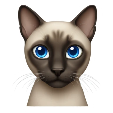 Dark Siamese cat blue eyes sticker