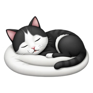 black and white cat with letter zzz sticker