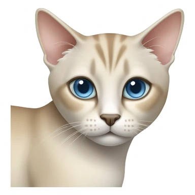 Thai breed cat with a light cream-brown body, dark gray nose and face, ears, and paws. sharp ears, and striking light blue eyes  sticker