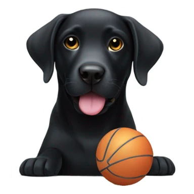 Black Labrador with a ball sticker