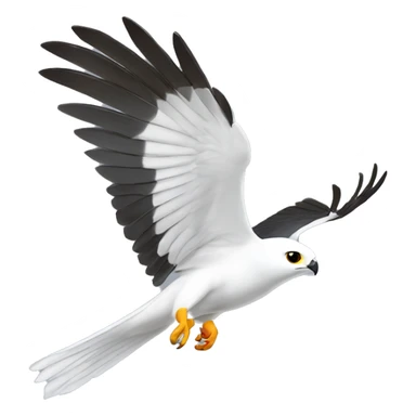 white-tailed kite bird in flight sticker