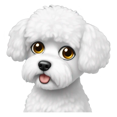 Confused bichon frise with black eyes  sticker