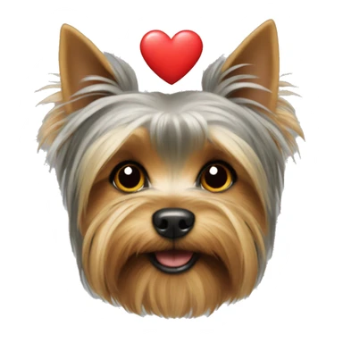yorkshire terrier with an heart sticker