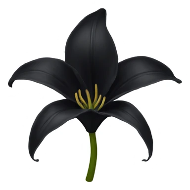 Black lily sticker