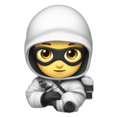 Baby ninja Developer with computer sticker