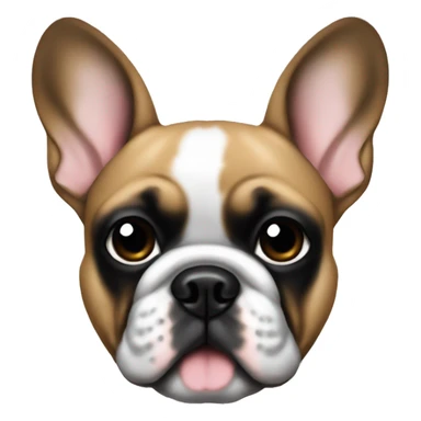 Fawn French bulldog with black face sticker
